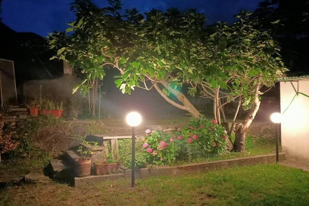 Da Zio Guido! Villa Bussoleno Exterior foto